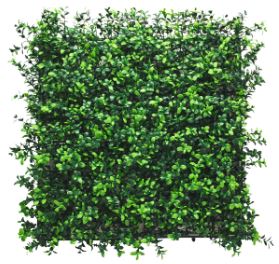 Machový panel  Buxus